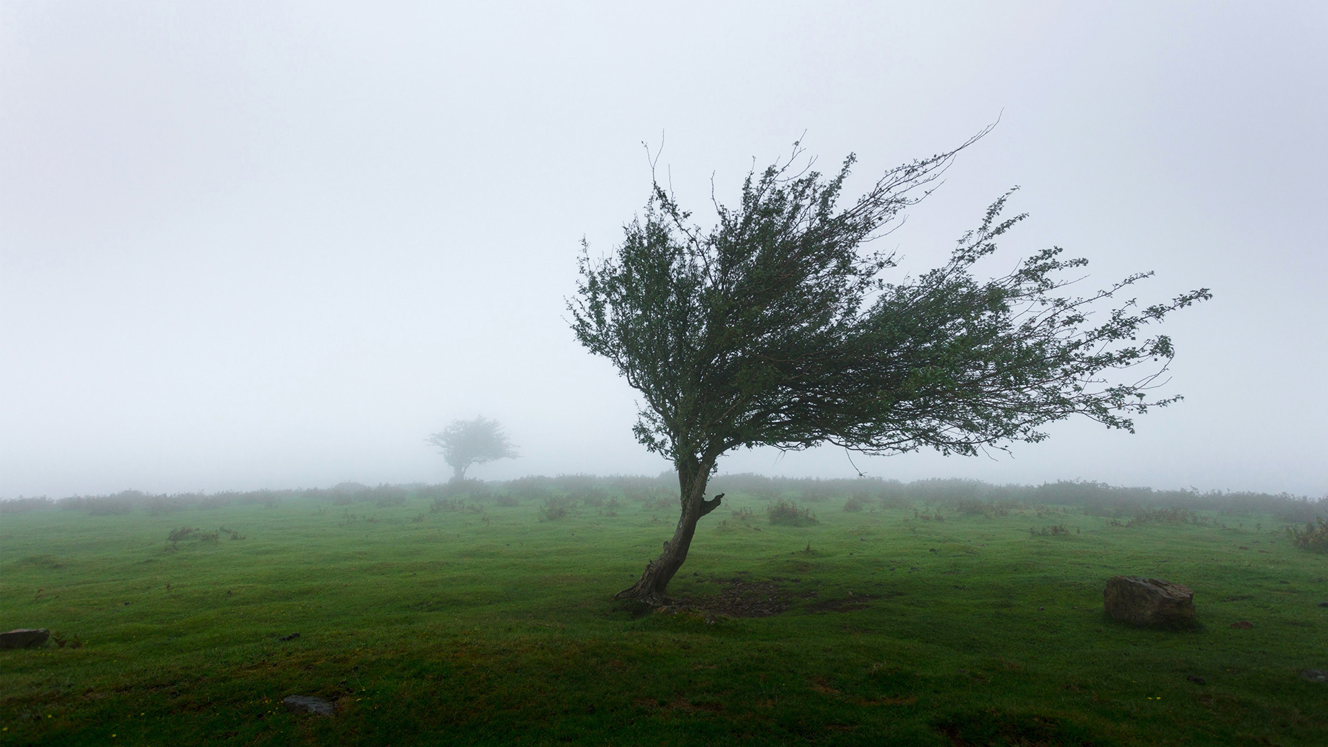Weathering